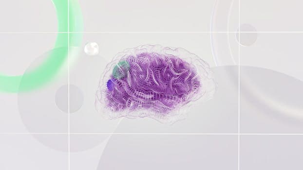 Cerveau en apprentissage avec connexions neuronales