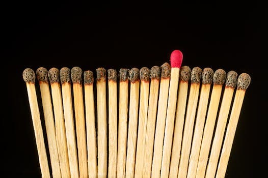 Élève au profil atypique cherchant sa place dans le système scolaire